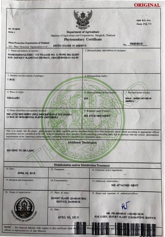 Import declaration. Phytosanitary Certificate China. Quarantine Phytosanitary disinfection штамп. Permit for entry КНР. Phytosanitary Certificate Germany.